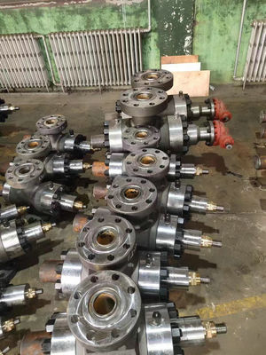 Perforazione molteplice di Ram Blowout Preventer For Well del doppio di uccisione rossa della bobina d'arresto